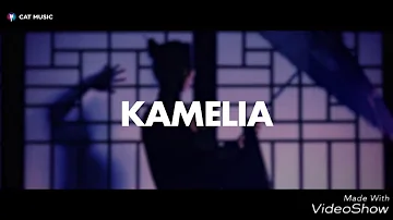 Kamelia amor مترجمة