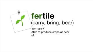 Word Roots: 'fer' - carry, bear
