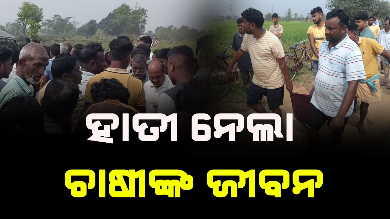 ହାତୀ ନେଲା ଚାଷୀଙ୍କ ଜୀବନ