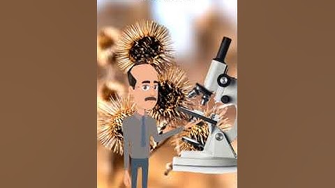 The Nature-Inspired Invention of Velcro!