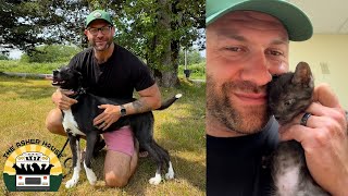 I promised my team I'd only come home with one dog so I'm going back for five more | The Asher House