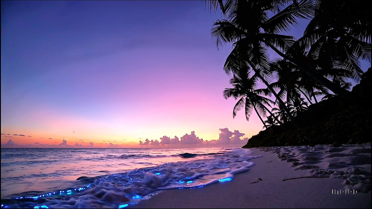Cover Relaxing Chill Music – Lounge Calming Music for Stress Relief & Focus