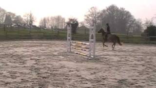 Oxer N1 - Ocean De Grimou