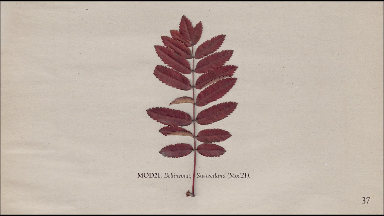 The Memoir - Page 37: Mod21