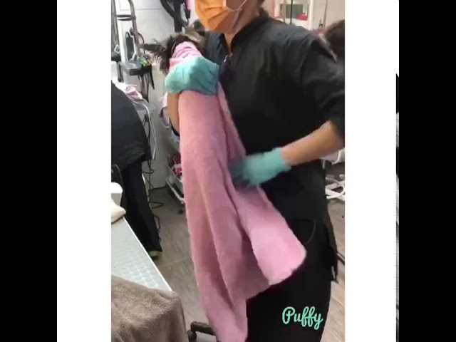 УЗ-чистка зубов без наркоза