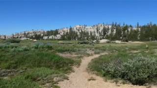 Emigrant Basin Wilderness 2019 Spring Meadow