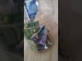 money talks