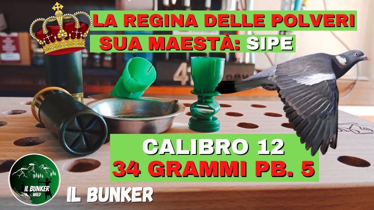 Его Величество Сайп - 34 грамма, 5 шт. - Калибр 12