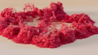 Houdini Flower Shockwave (Breakdown)