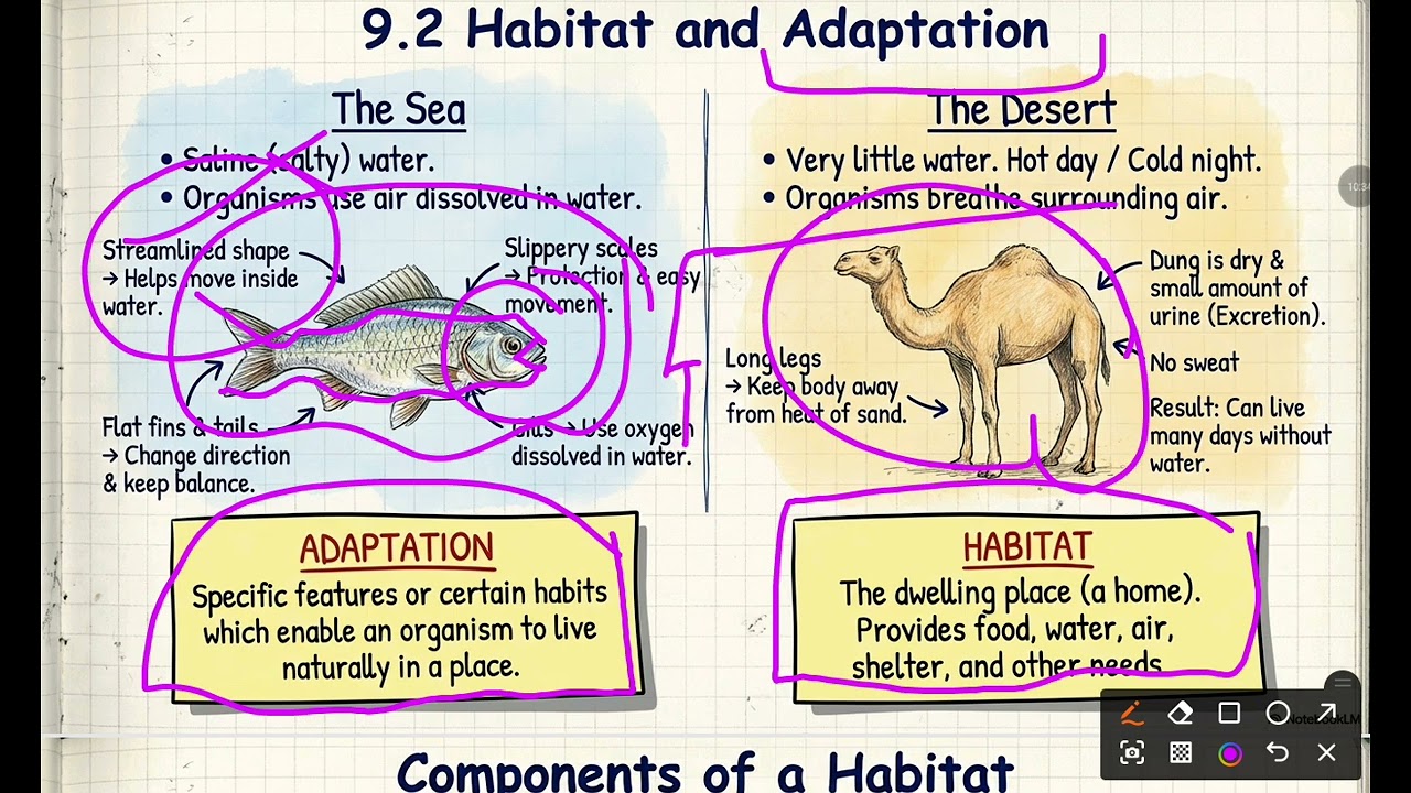 HP PATWARI EXAM 2026 SCIENCE CHAPTER 6 THE LIVING ORGANISM CHARACTERISTICS  AND HABITATE NCERT HPRCA