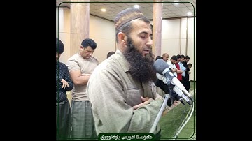 سورة الجاثية﴿٢٩-٢٨﴾