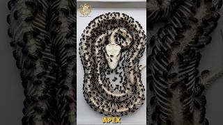 Tiny Beetles vs Giant Burmese Python Skeleton Reveal #nature #experiment #satisfying