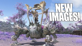 FFXIV - New Special Site Images for Patch 7.35