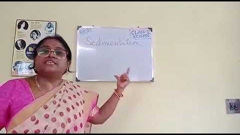 CMS:CLASS V SCIENCE PART II