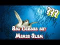 Abu Dabbab Bay (Marsa Alam, Egypt). Бухта Абу Даббаб &quot;Дом черепах&quot;: стоит ли?