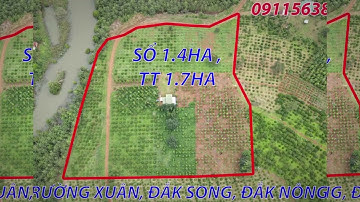 View Suối - Trường Xuân, Đăk Song, Đăk Nông