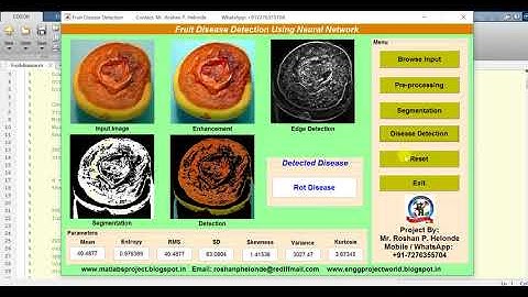 Fruit Disease Detection using Matlab Project Source Code