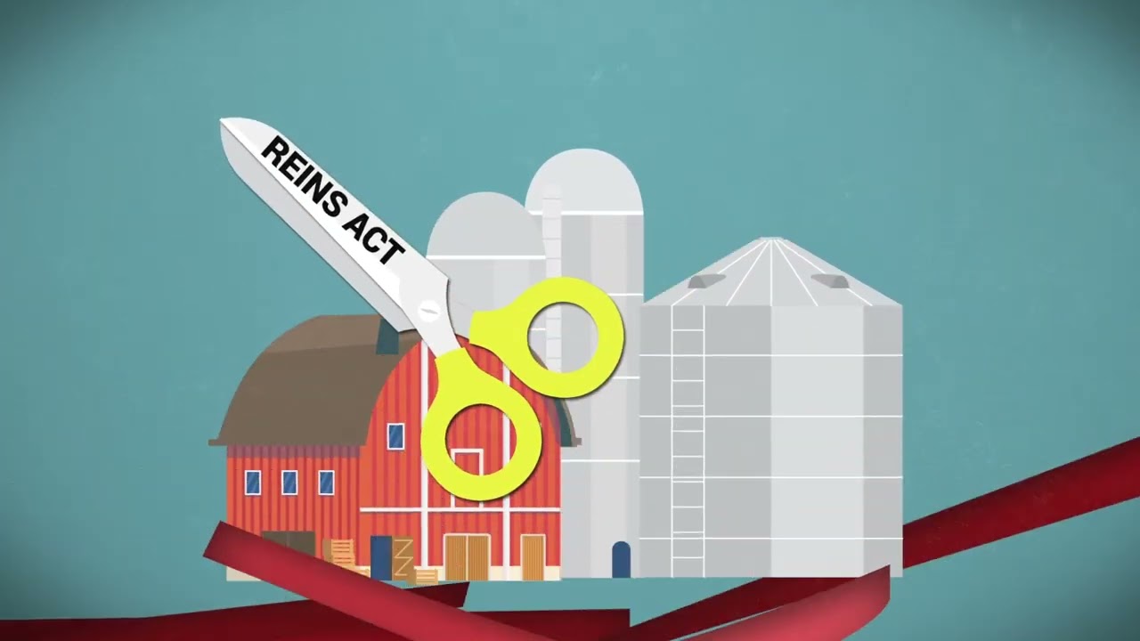 Less Bureaucracy, More Opportunity: Nebraska’s REINS Act Vision