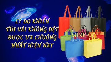 Những Lý Do Khiến Túi Vải Không Dệt Được Ưa Chuộng Nhất Hiện Nay I #Minkan #tuivaiminkan