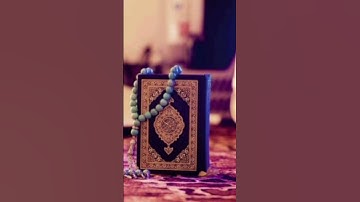 من أجمل ما قرأ القارئ أمين موسى. ج١٧٢