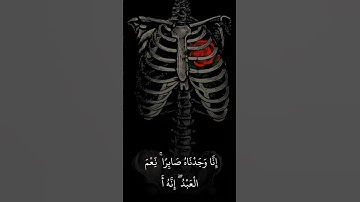 إنا وجدناه صابرا نعم العبد إنه أواب (٤٤) صوت يفطر القلب 😍 القارئ : رعد الكردي | سورة ص