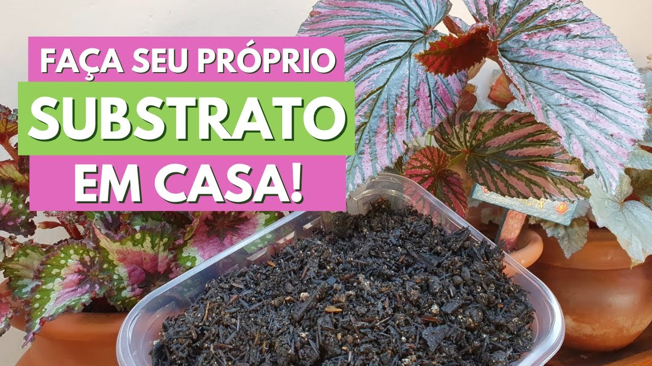 COMO FAZER SUBSTRATO CASEIRO PARA BEGÔNIAS! DICAS PARA PREPARAR TERRA DE PLANTIO - CANAL MEU QUINTAL