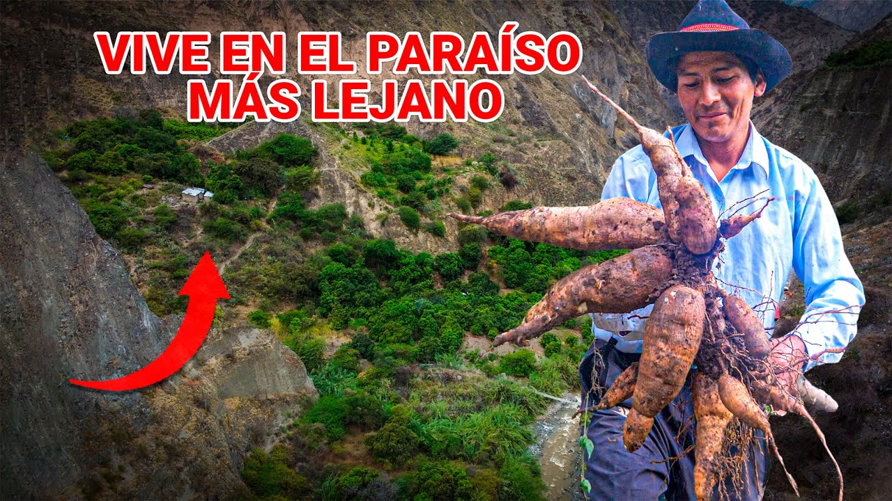 Así se vive en el PARAÍSO MÁS LEJANO del Perú: el HOMBRE QUE ALIMENTA la RUTA INCA con sus frutos.