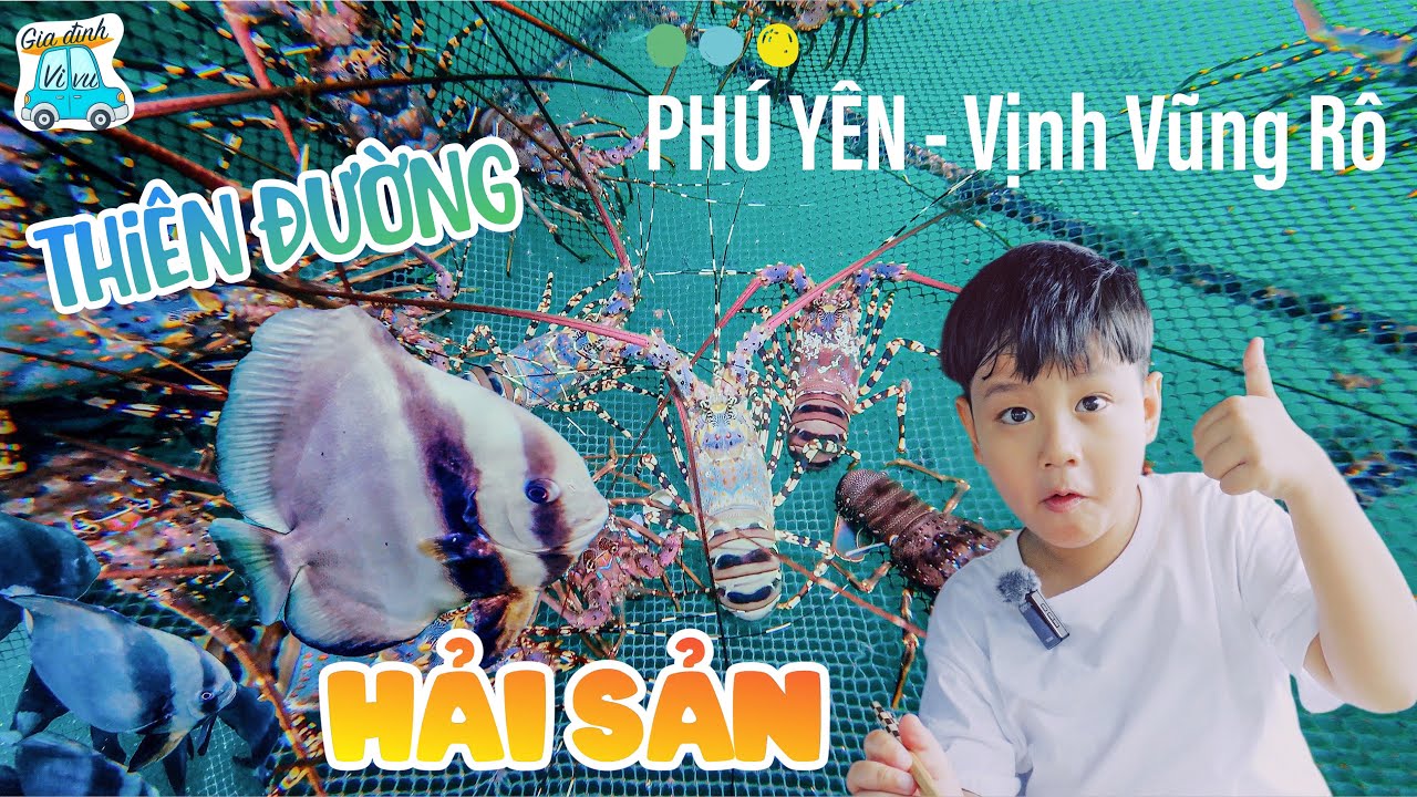 Khám Phá Vũng Rô Phú Yên - Thiên Đường Hải Sản Đỉnh Cao | Bí Kíp Du Lịch Phú Yên