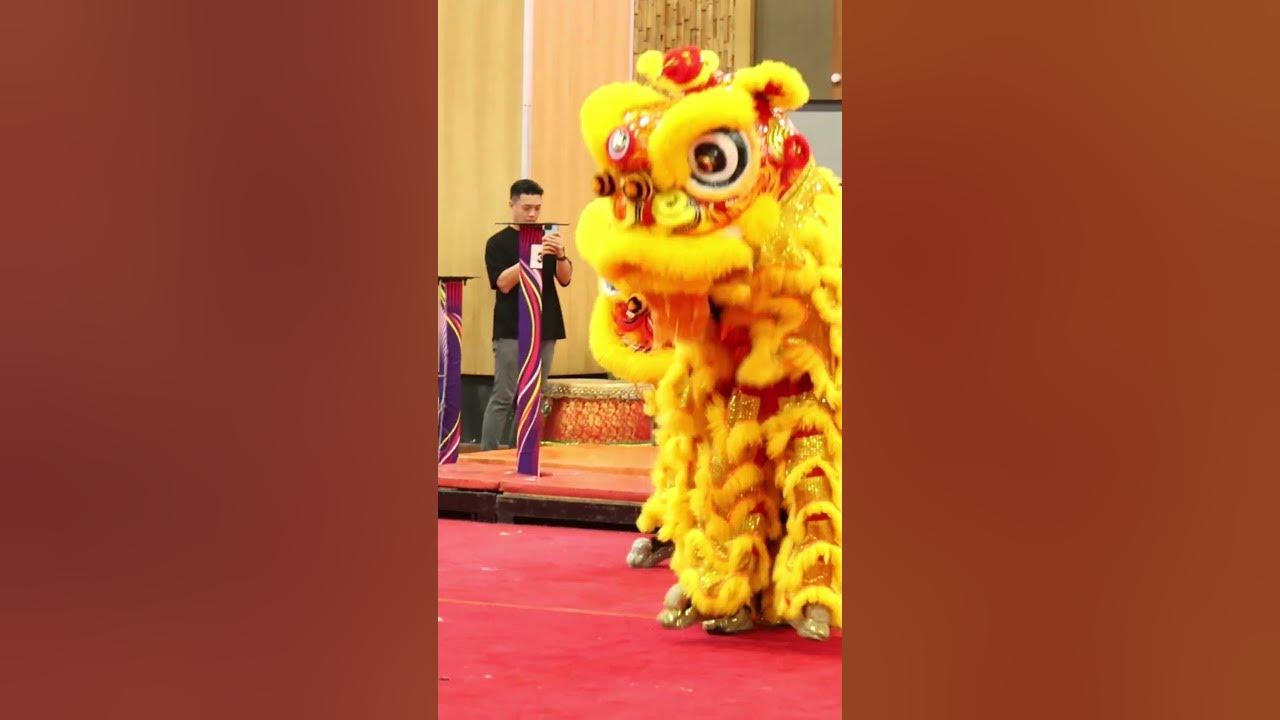 Injured lion didn't want to quit