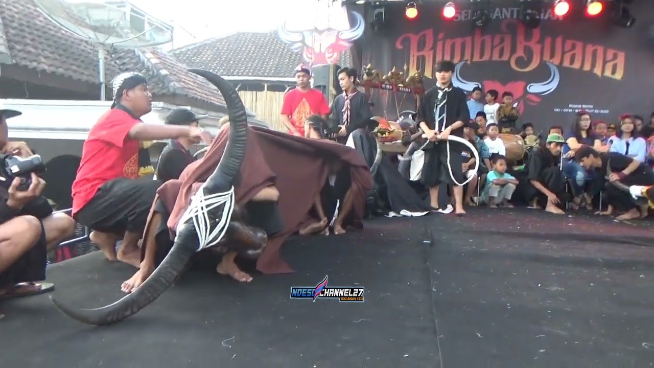 Kebo Berik ❗❗Rimba Buana Live Kucur Dau Malang 1 Desember 2022