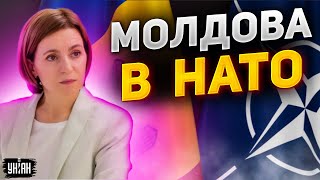 Долой нейтральность! Молдова всерьез задумалась о вступлении в НАТО, но есть нюансы