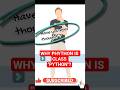 WHY PYTON IS NAMED PYTHON ONLY | CODEwithANSH #coding #codewithansh #python