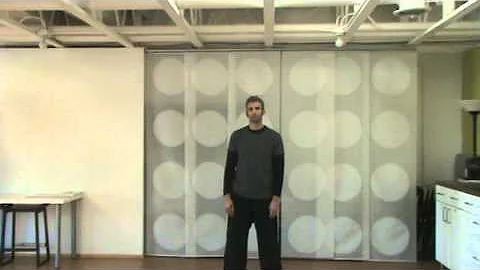 Michael Guida - Introduction to T'ai Chi