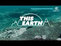 Australia's Great Barrier Reef suffers record coral decline | REUTERS