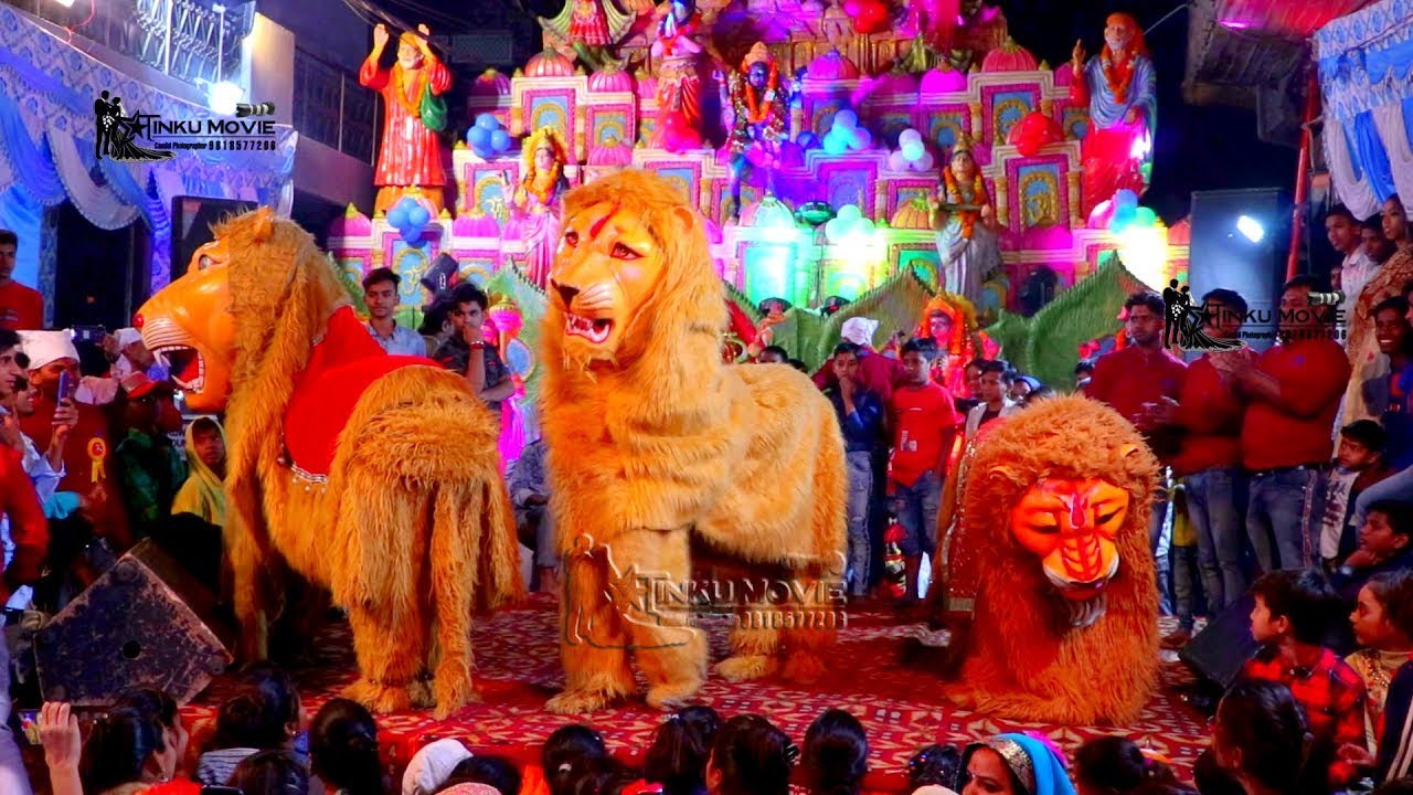 बब्बर शेर की झांकी || माता की चौकी  Mohan sarpanch colony