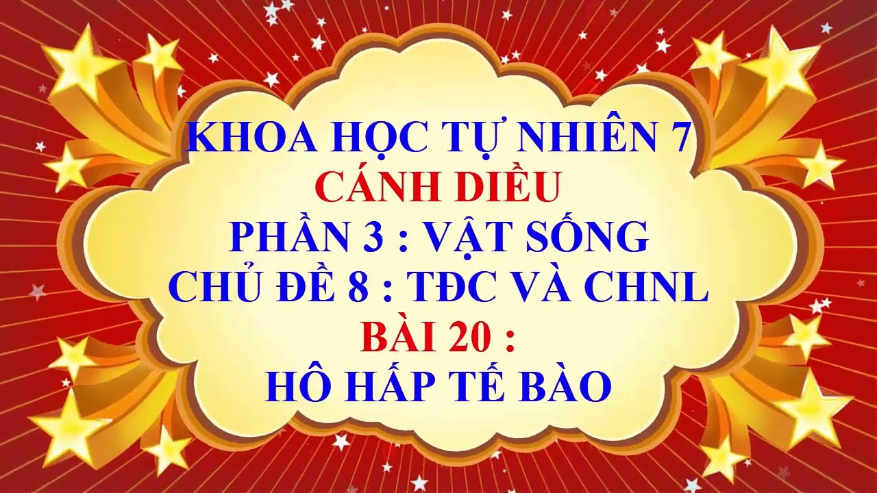 Khoa học tự nhiên 7 - Cánh Diều - Phần 3 - Chủ đề 8 - Bài 20 - Hô hấp tế bào