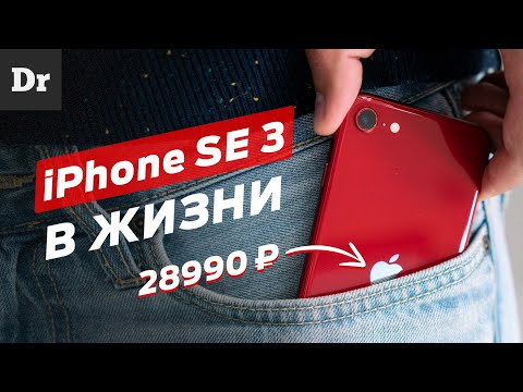 2 МЕСЯЦА с iPhone SE 2022: ПОСЛЕ Android | Большой обзор