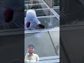 funny video 👍👍