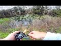 Roadside Canal Fishing in The Everglades