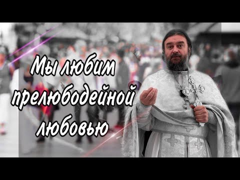 Не хорошо давать хлеб псам, забрав у детей. Протоиерей  Андрей Ткачёв.