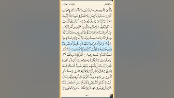 القرآن الكريم سورة الحشر كاملة محمد ايوب