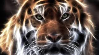 Imágenes de animales de luz para fondo de pantalla screenshot 3