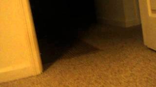 j 376.AVI
