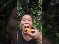 EATING PAPAYA Fruit Shortvedio Trendingvedio Buhayprobinsya 