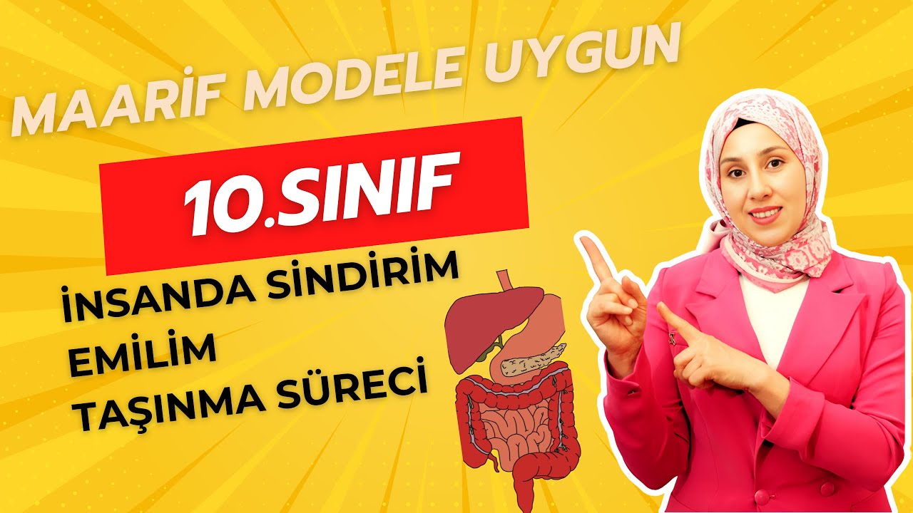 10. Sınıf | İnsanda Sindirim- Emilim- Taşınma Süreci | Yeni Maarif Model | Kuvvetli Biyoloji