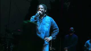 Pimper’s Paradise - Damian 