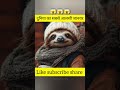 #lyricsvideo