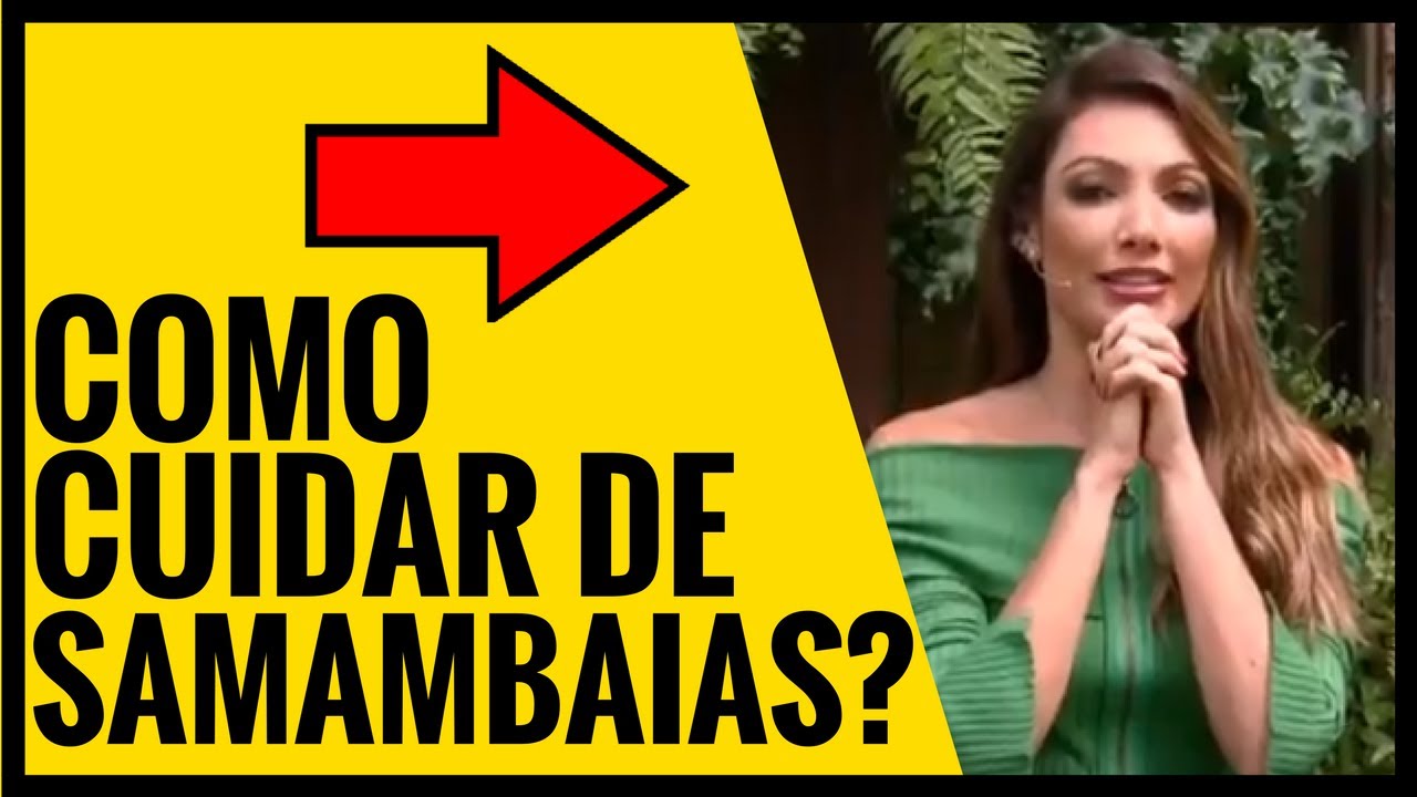 como cuidar de samambaias | AS MELHORES DICAS QUE EU JÁ VI