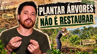 Você pode plantar 1 MILHÃO de árvores e ainda fracassar