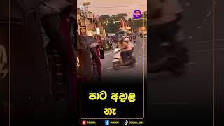 පාට අදාළ නැ